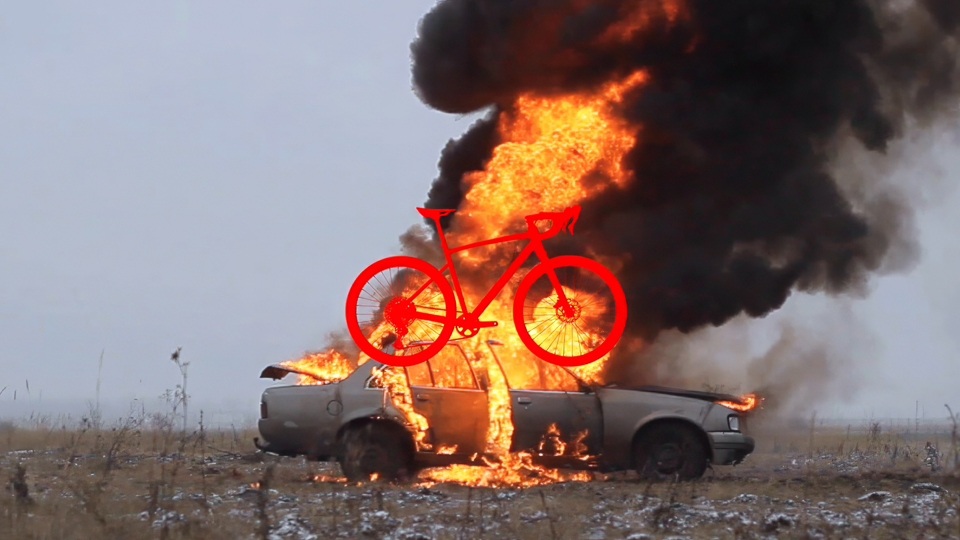 CALOI//CAR ADDICTS SUPPORT GROUP